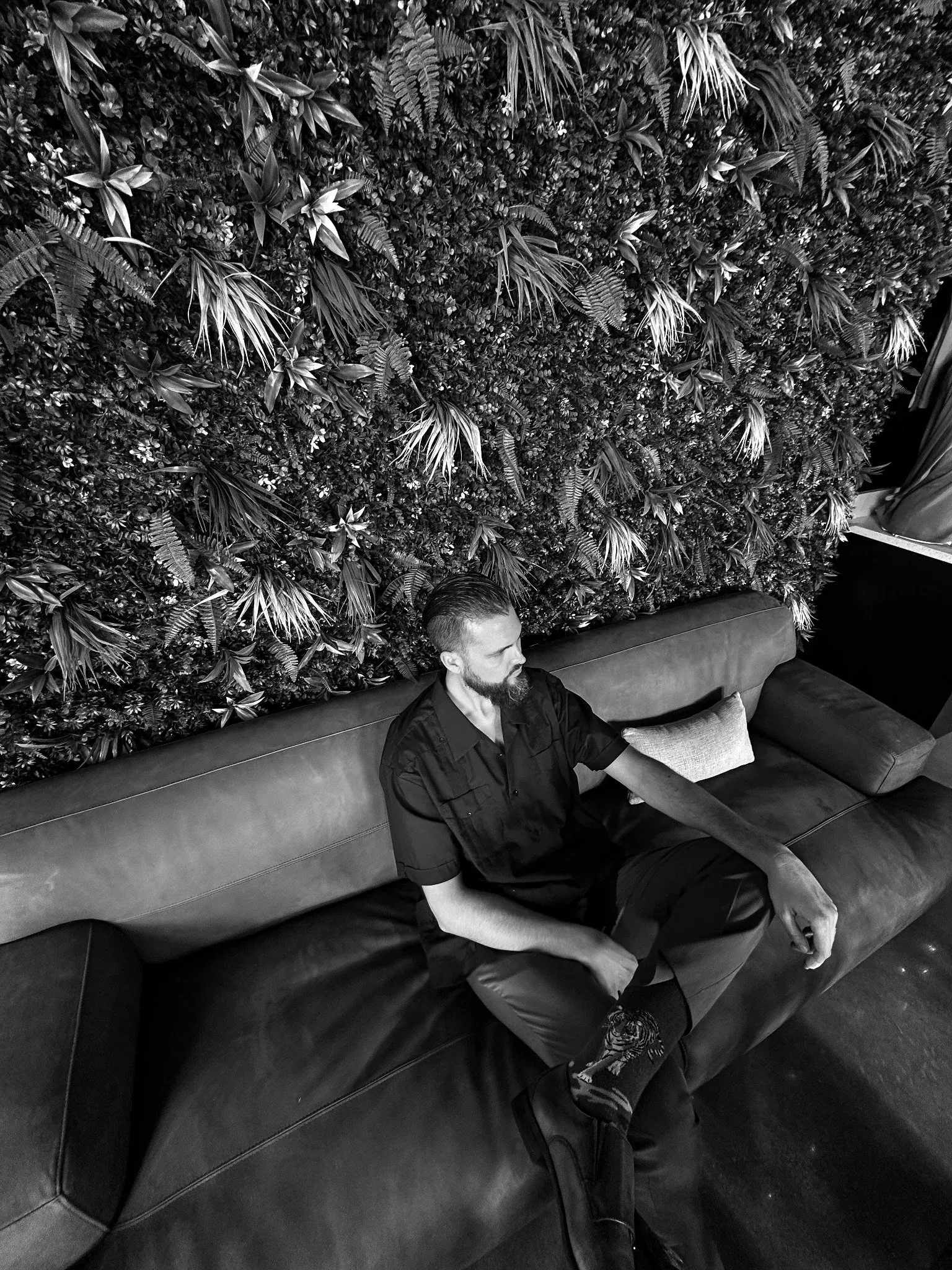 The Balance King — studio portrait
