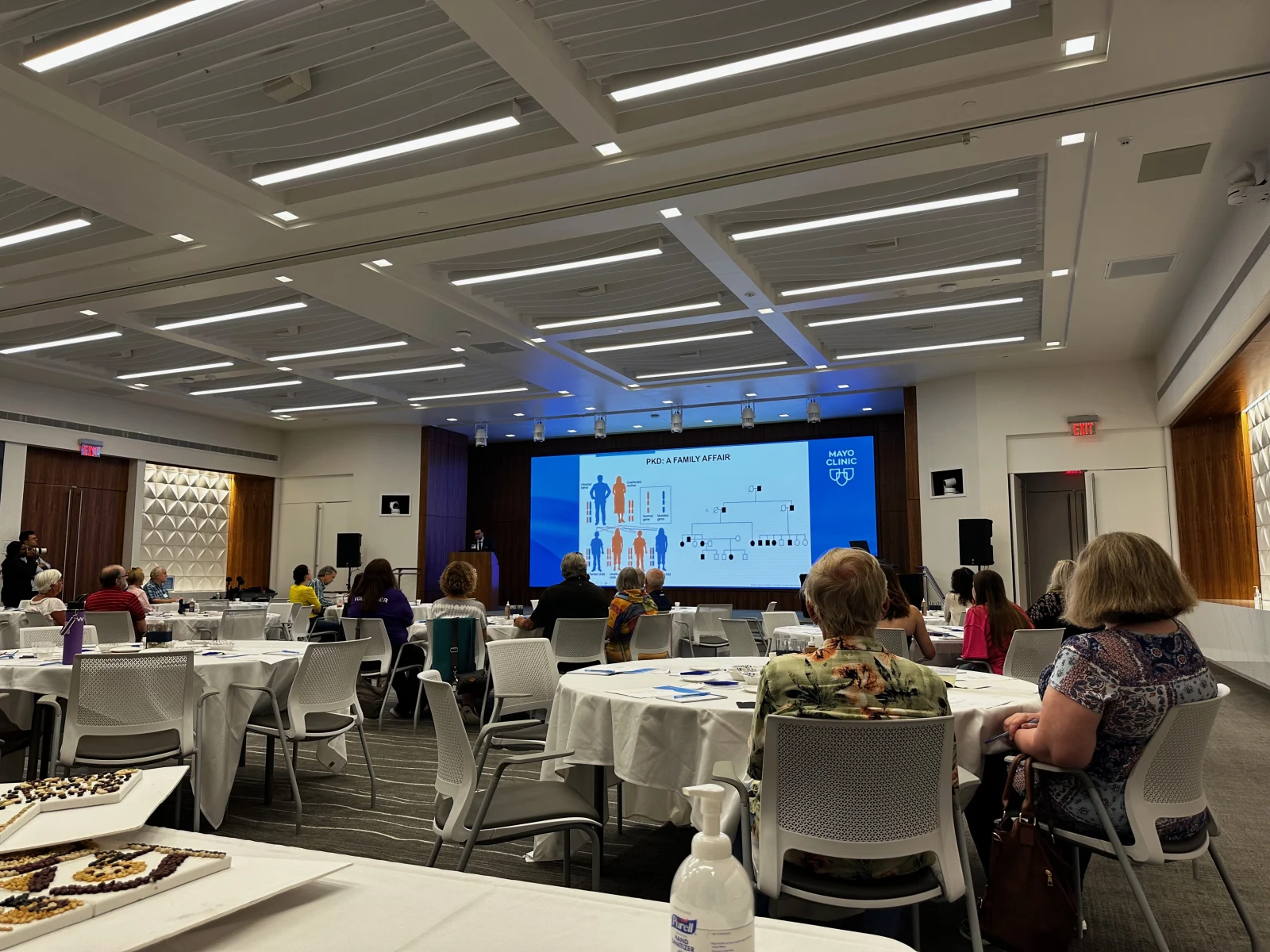 Mayo Clinic PKD Support Summit — Sound Curation, project image 5